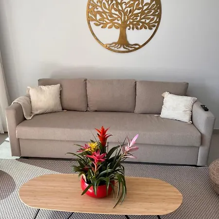 Tropical Penthouse With Big Roof Terrace Apartment Malaga